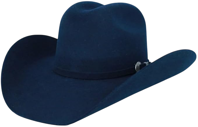 Cowboy Felt Hat, Navy Blue
